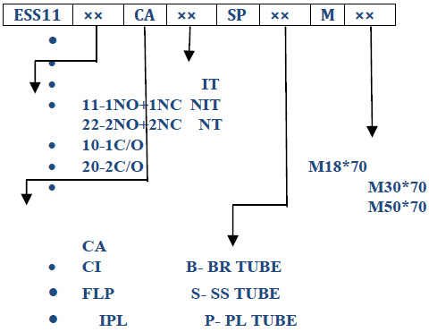 Electronic Speed Monitoring Switch